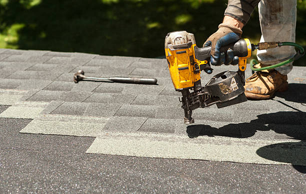 Best Roof Gutter Cleaning  in Versailles, KY