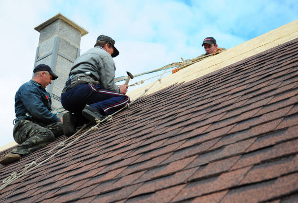 Best Commercial Roofing Services  in Versailles, KY