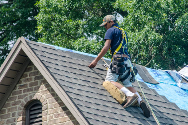 Professional Roofing Contractor in Versailles, KY